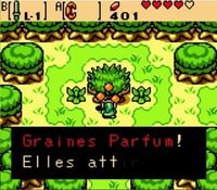 une photo d'Ã©cran de The Legend of Zelda - Oracle of Seasons sur Nintendo Game Boy Color